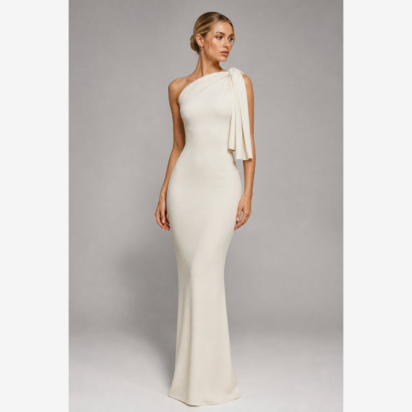 Celine Bodycon Maxi Dress — blonde studio v2