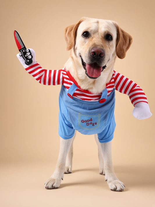 Halloween Dog Costume