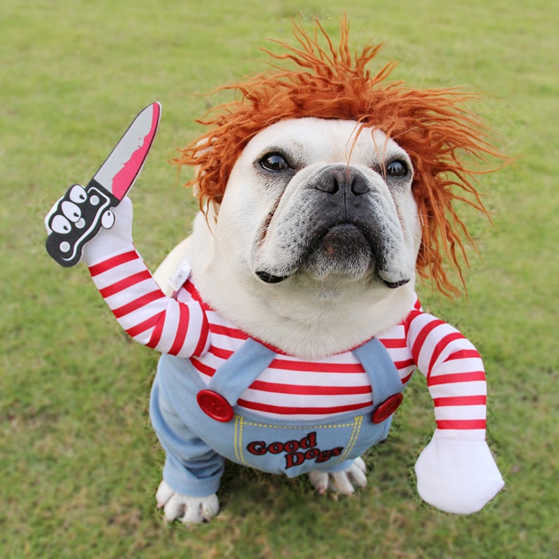 Striped Halloween Pet Costume