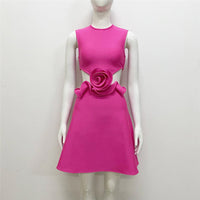 Appliqué A-Line Party Dress