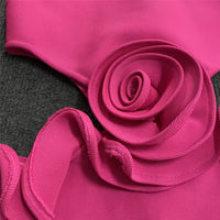 Appliqué A-Line Party Dress