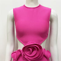 Appliqué A-Line Party Dress
