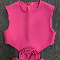 Appliqué A-Line Party Dress