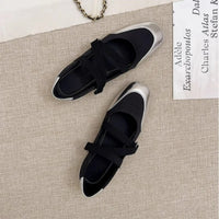 2025 Spring/Fall New Mary Jane Flats - Ballet-Inspired Round-Toe Slip-On Shoes with Elastic Strap, Vintage Work Pumps for Women