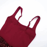 Burgundy Corset Sequin Mini Dress – Wine Party Dress