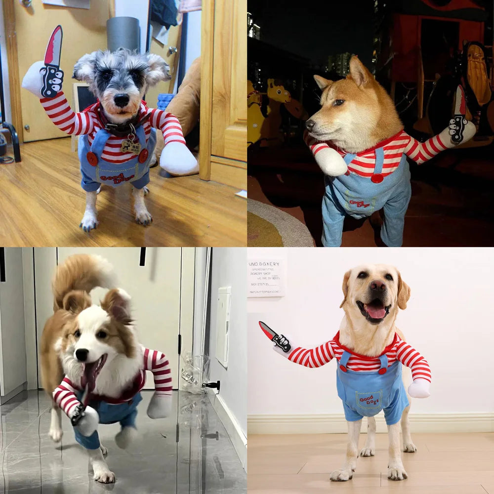 Halloween Dog Costume